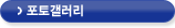 포토갤러리